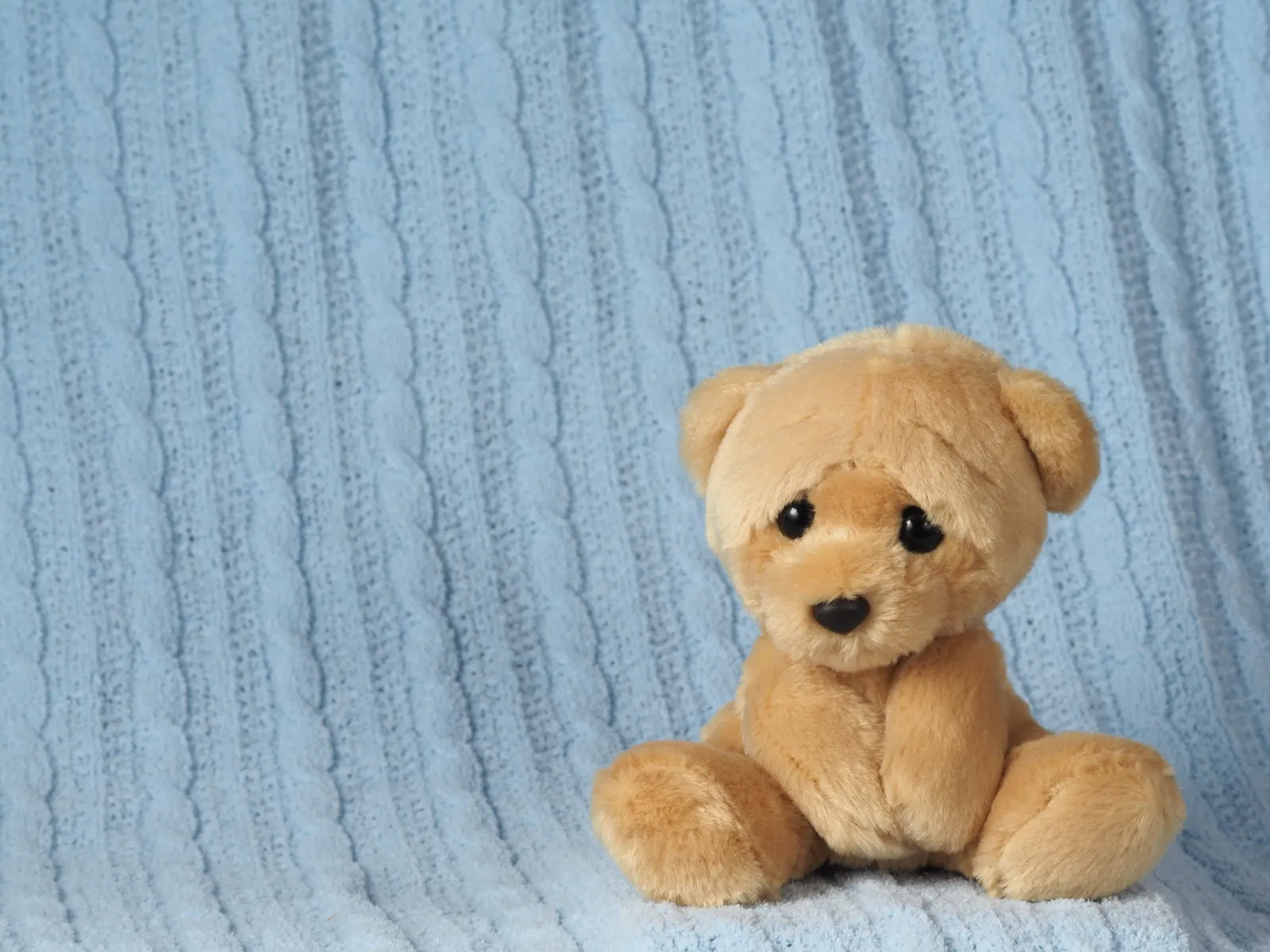 Petit ours en peluche couleur miel assis sur un plaid bleu ciel tricoté en torsades