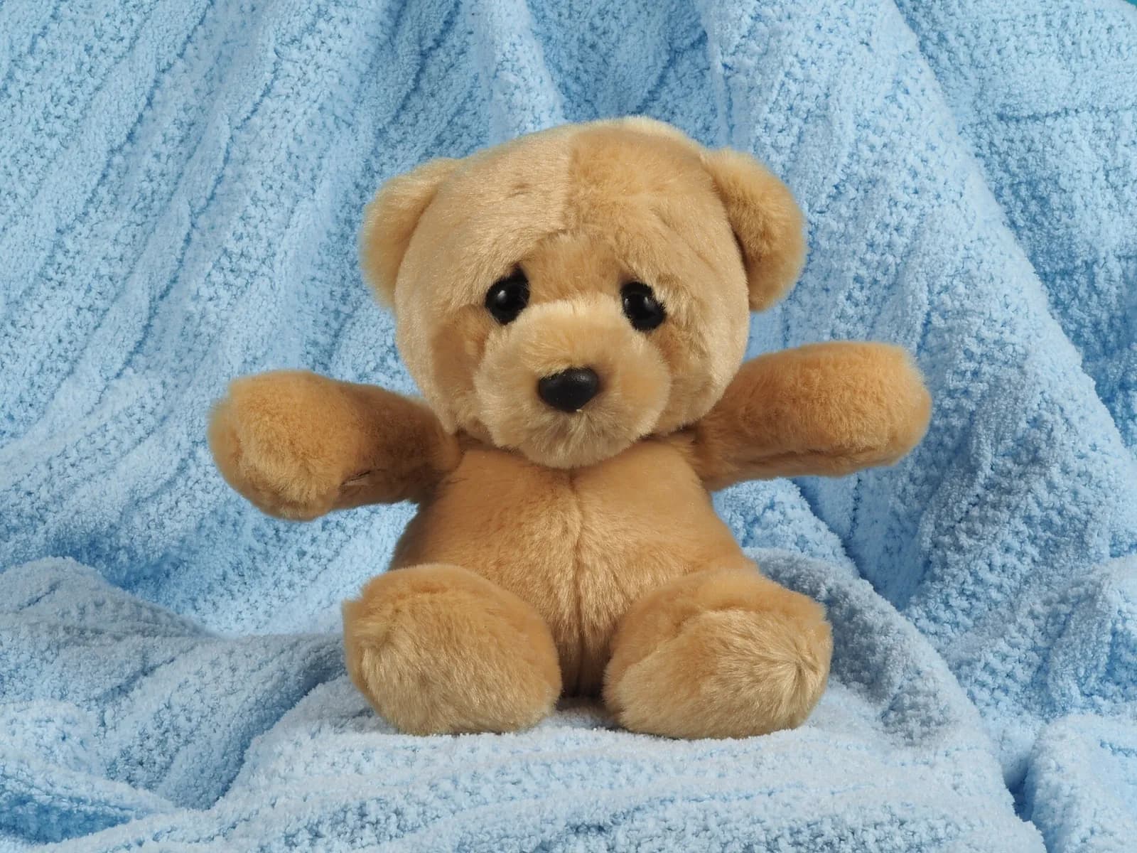 Ours en peluche beige, bras ouverts, assis sur une couverture bleu ciel en maille douce