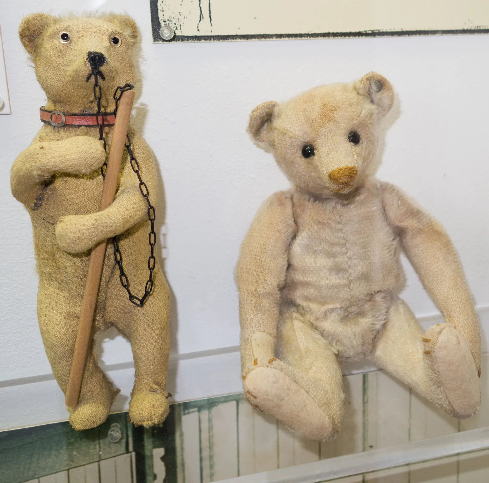 Deux ours en peluche anciens exposés dans une vitrine de musée, l'un debout avec une chaîne, l'autre assis